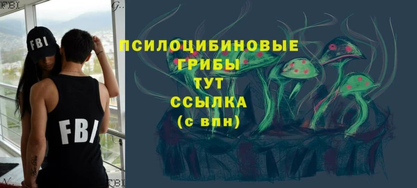 мет Алексин