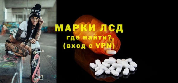 шишки Заволжье