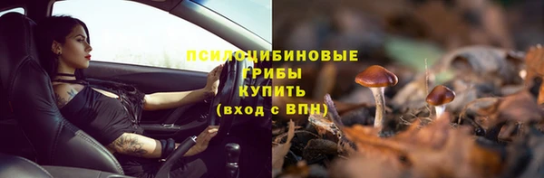 мет Алексин