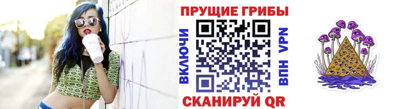 что такое   Искитим  omg   Псилоцибиновые грибы Cubensis 